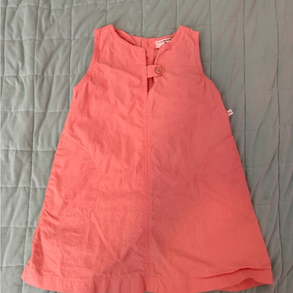 1 + In The Family Dress